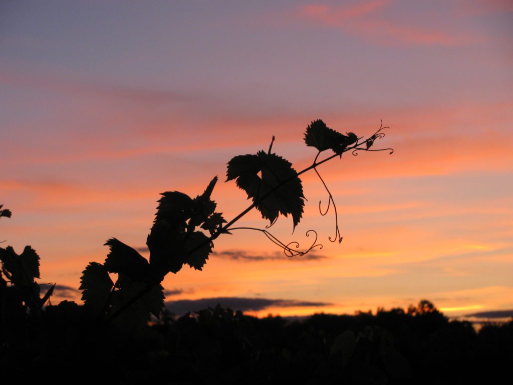 A beautiful place to enjoy the sunset