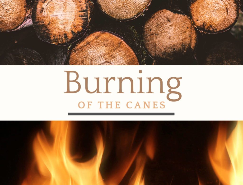Burning of the canes at Fox Run Vineyards