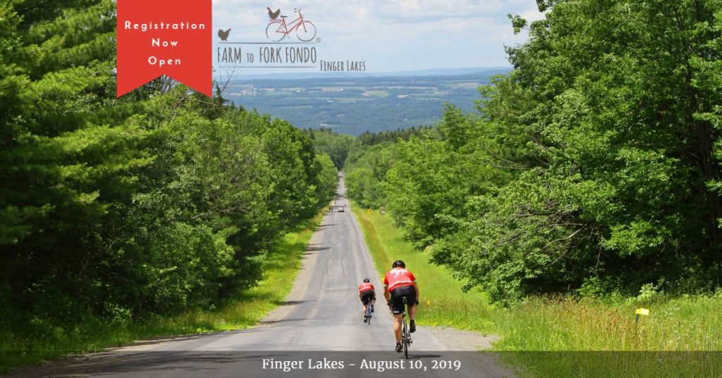 Farm to Fork Fondo - bicycle ride on Seneca Lake