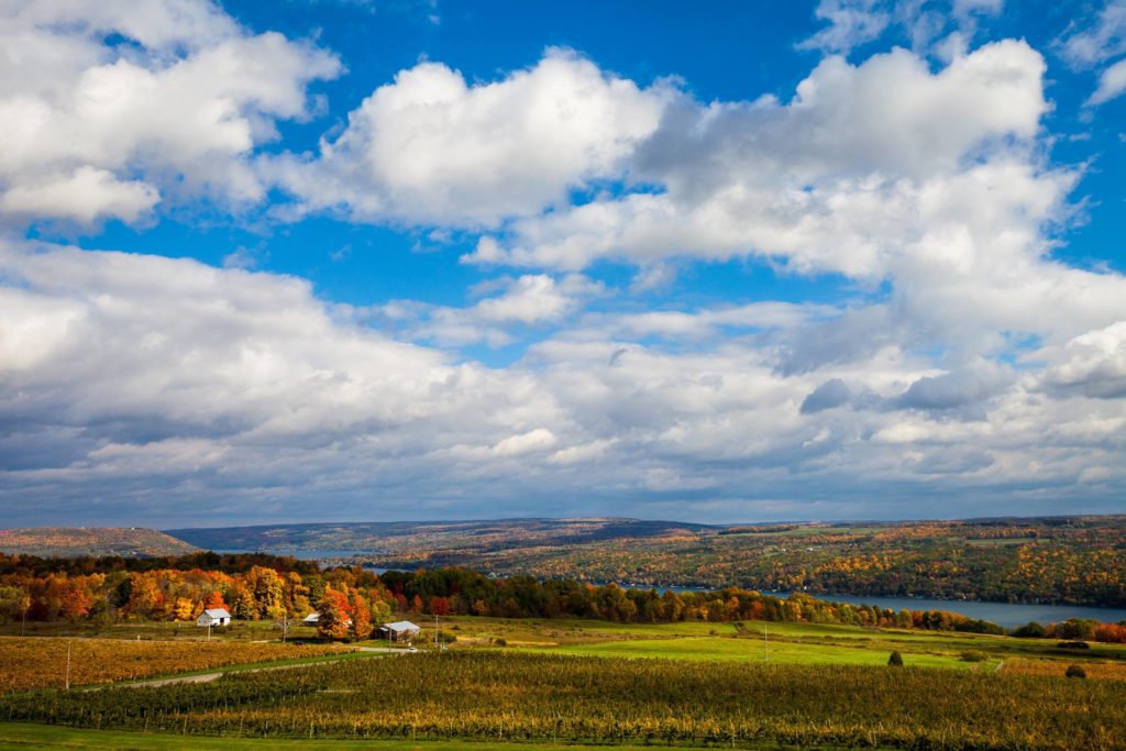 Sky with clouds and vineyards