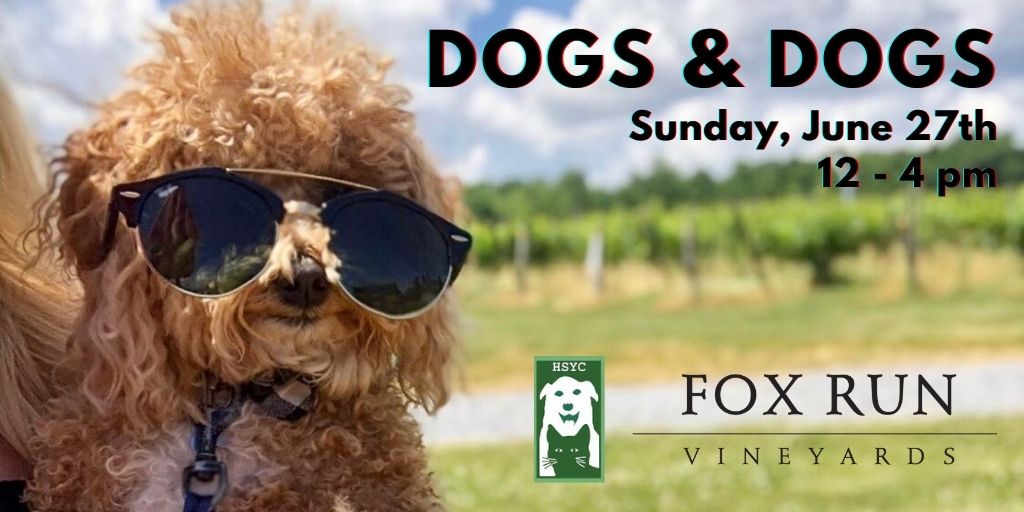 Email header image for Dogs and Dogs event at Fox Run Vineyards