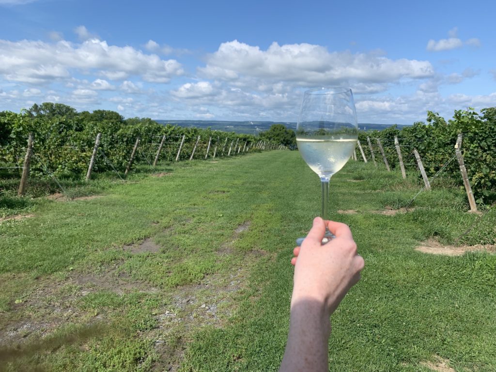 The beautiful vineyard at Lamoreaux Landing Wine Cellars at Seneca Lake Wineries