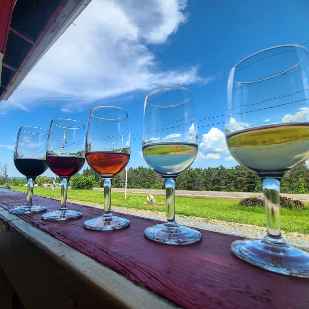 Five glasses of wine