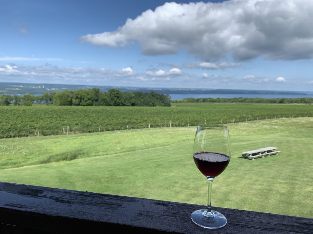 glass of red wine with vineyard and lake behind it