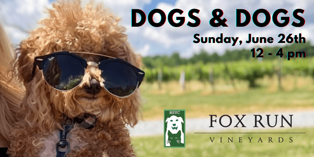 Dogs & Dogs at Fox Run Vineyards - Seneca Lake Wine Trail