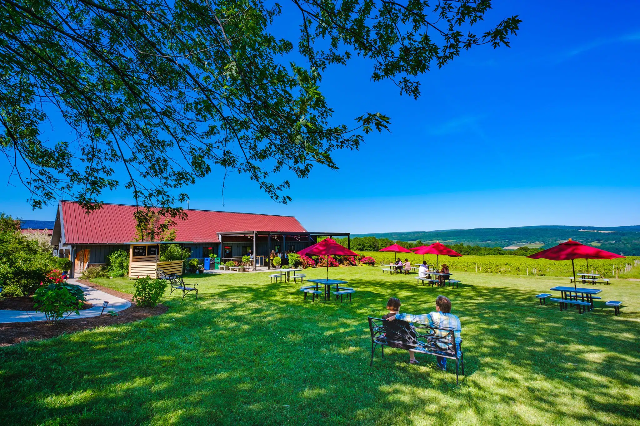 Lakewood Vineyards lawn, picnic tables on a beautiful summer day
