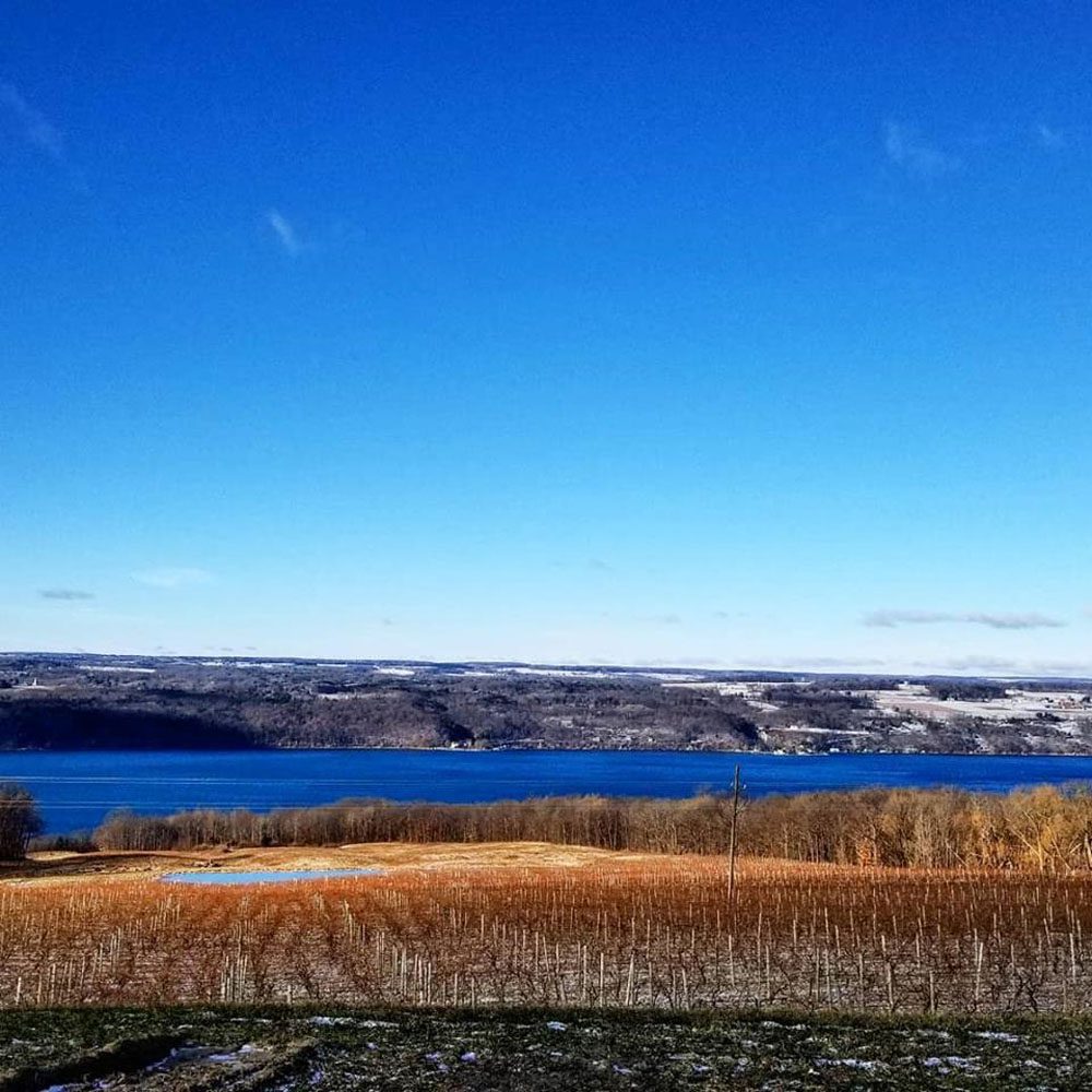 Blue lake with snowy vineyard in foreground