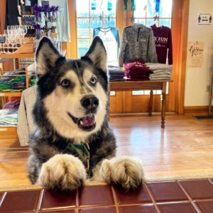 dog friendly winery tour