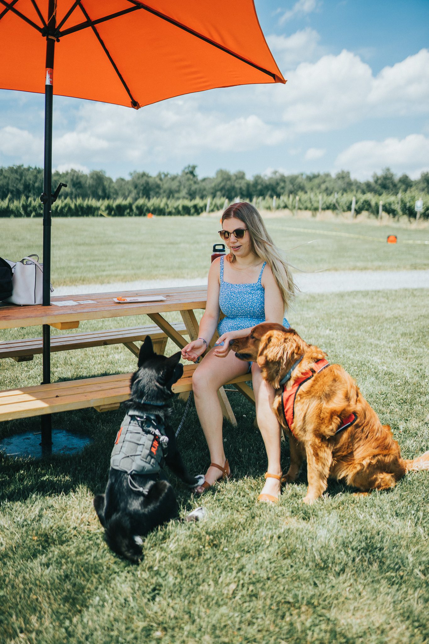 Black dog and red dog with woman at picnic table at Fox Run Vineyards