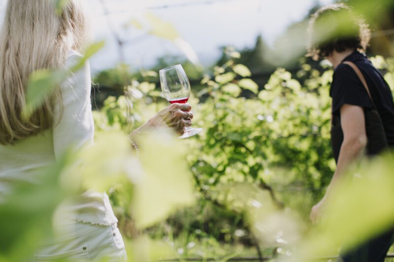 Silver Thread Winery Vineyard Tour