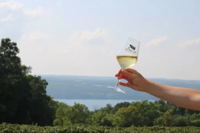 Either Oar wine glass and lakeview