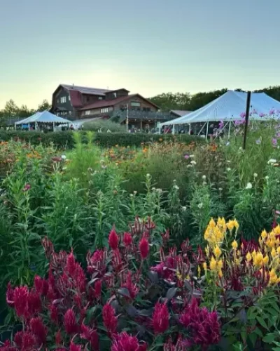 Finger Lakes Cider House flowers