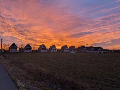 Vineyard Villas 2024