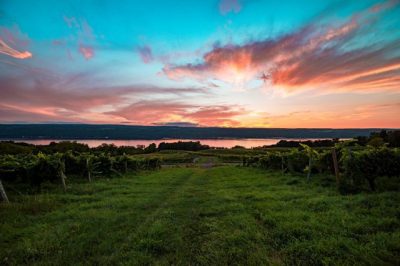 View of the sunset over the vineyard at Atwater vineyards - located near Watkins Glen