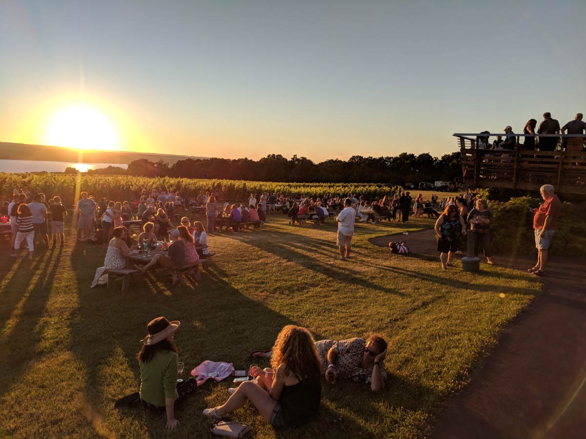 Sunset overlooking the vineyard and picnic tables