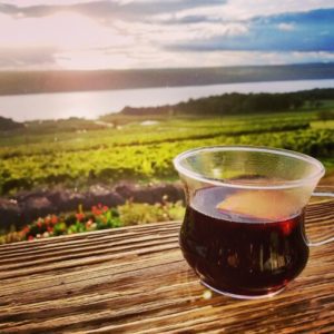mulled wine in glass overlooking vineyards