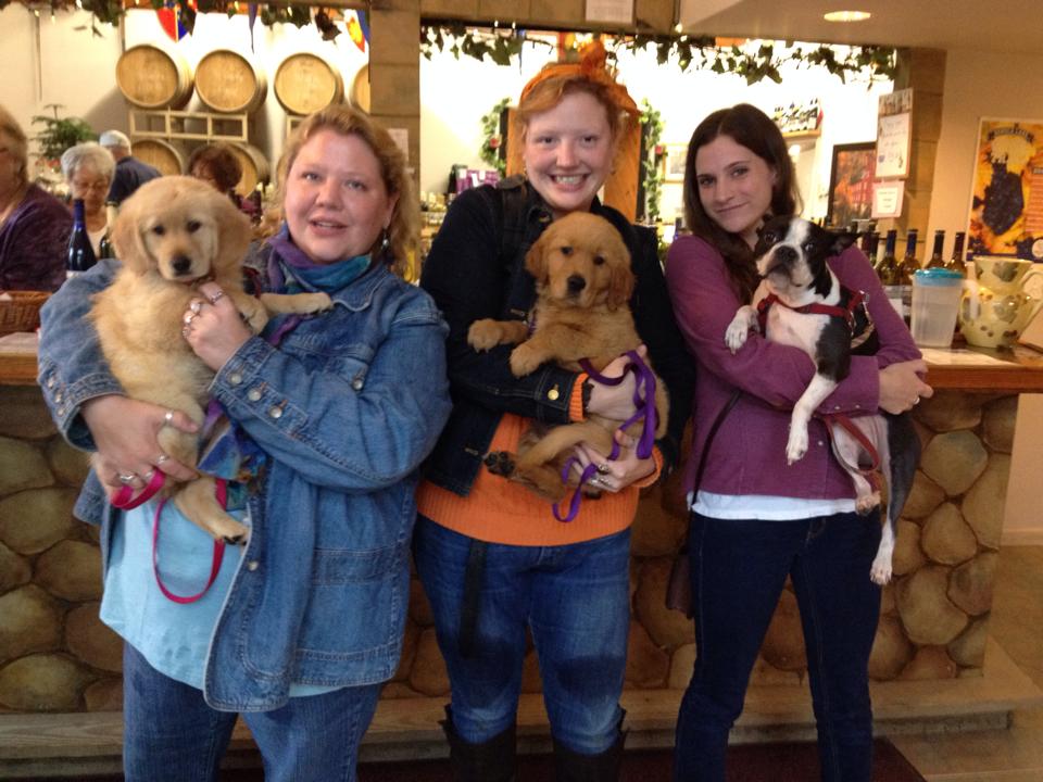 Seneca Shore Wine Cellars Seneca Lake Wine Trail