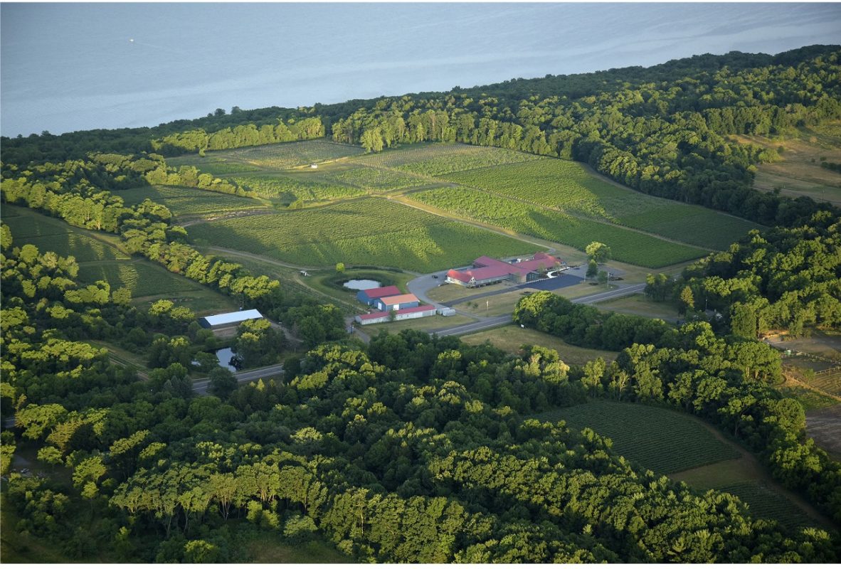 Lakewood Vineyards Seneca Lake Wine Trail