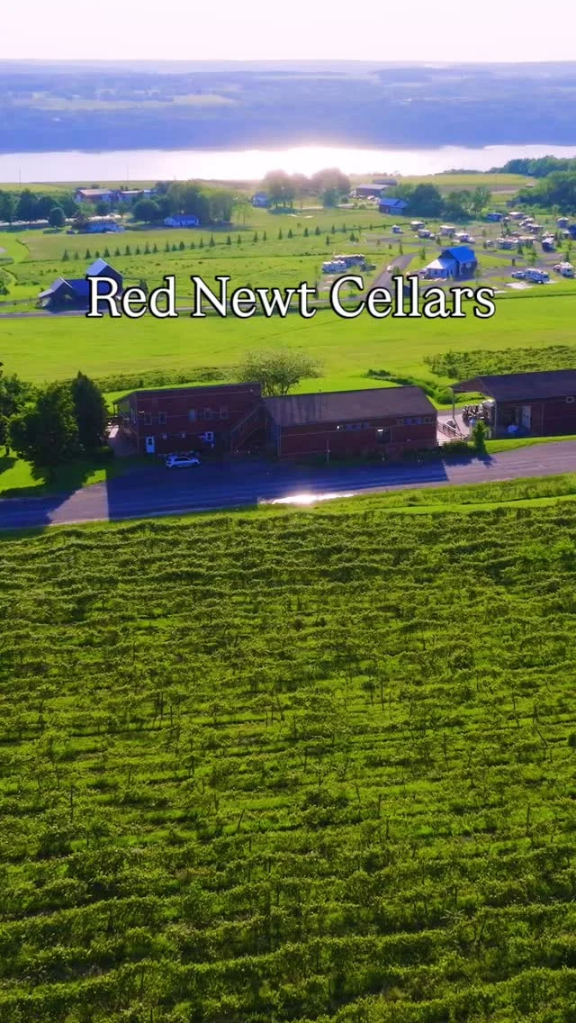 🍷 Discover why @rednewtcellars is a must on your Seneca Lake wine adventure!⁠
⁠
✨ 1. World-Class Rieslings – Known for crafting expressive, terroir-driven Rieslings that are some of the best in the region.
🧀 2. Thoughtful Pairings – Enjoy locally sourced, seasonal dishes that elevate your visit, by making time for a meal in The Bistro. 
🌄 3. Scenic Deck Views – Sip and soak in sweeping views of the lake from their cozy, relaxed tasting room.⁠
⁠
Whether you're a wine nerd or just here for the vibes, Red Newt offers a warm welcome and wines worth remembering. 🍇❤️

#SenecaLakeWineTrail #RedNewtCellars #FingerLakesWine #WineWithAView #RieslingLovers #myflx #senecalakewine ##fingerlakes #rednewt