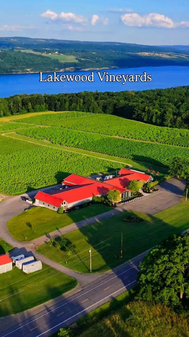 🎥✨ Discover why Lakewood Vineyards is a must-visit on Seneca Lake!⁠
⁠
🍷 Family-owned with deep roots and warm hospitality⁠, done as only the Stamp Family can do it.
🌄 Stunning vineyard views that stretch over the lake⁠ (take their self-guided vineyard tour to get the full effect).
🍇 A wide variety of award-winning wines for every palate⁠, crafted by the talented hands of the father-daughter-son winemaking team of Chris Stamp, Abby Stamp Wilkens, and Ben Stamp.
⁠
Whether you're sipping on their classic reds (give the Reserve Pinot Noir a try - it will blow your mind) or toasting with Bubbly Candeo or sampling one of their other *many* options, Lakewood delivers a relaxed, friendly experience every time.⁠

Come as strangers, leave as friends. It's the Lakewood way. 

@lakewoodvineyards
⁠
#LakewoodVineyards #SenecaLakeWineTrail #FingerLakesWine #WineryViews #SipAndStay #FLXWines #myflx #grownheremadehere ##senecalakewine #winetasting #wineexperience